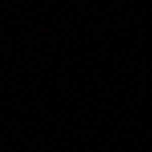 Meet your Posher, Samara